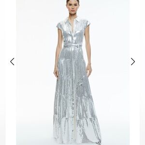 Alice and Olivia Miranda sequin maxi dress